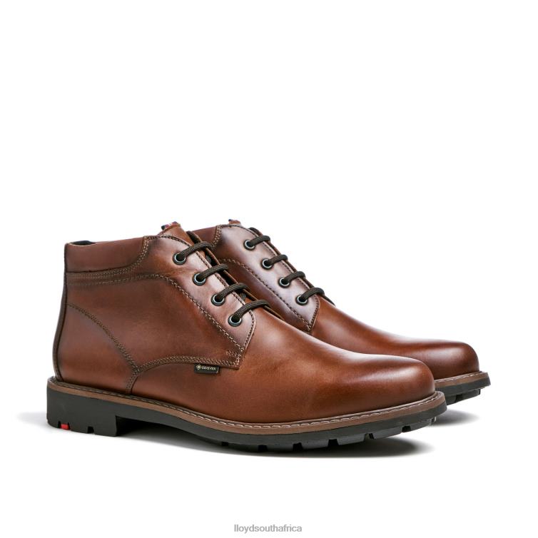 Shoes brown LLOYD VISCO Men 86B4D515