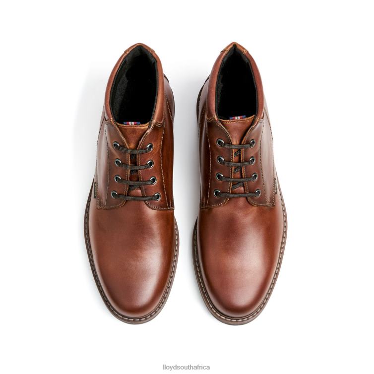 Shoes brown LLOYD VISCO Men 86B4D515