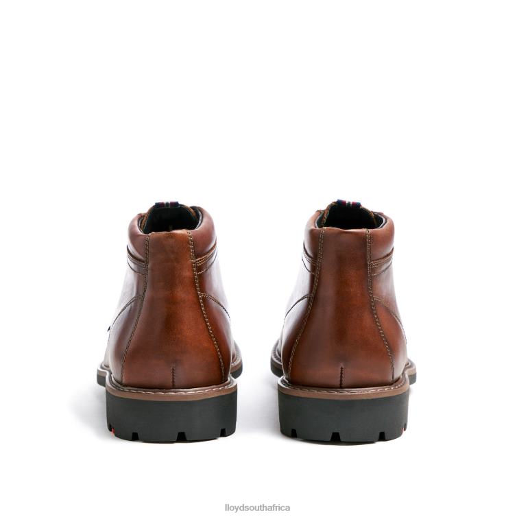 Shoes brown LLOYD VISCO Men 86B4D515