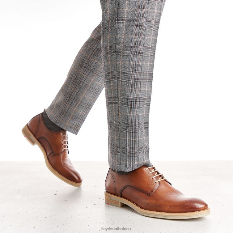 Shoes brown LLOYD DAKOTA Men 86B4D608