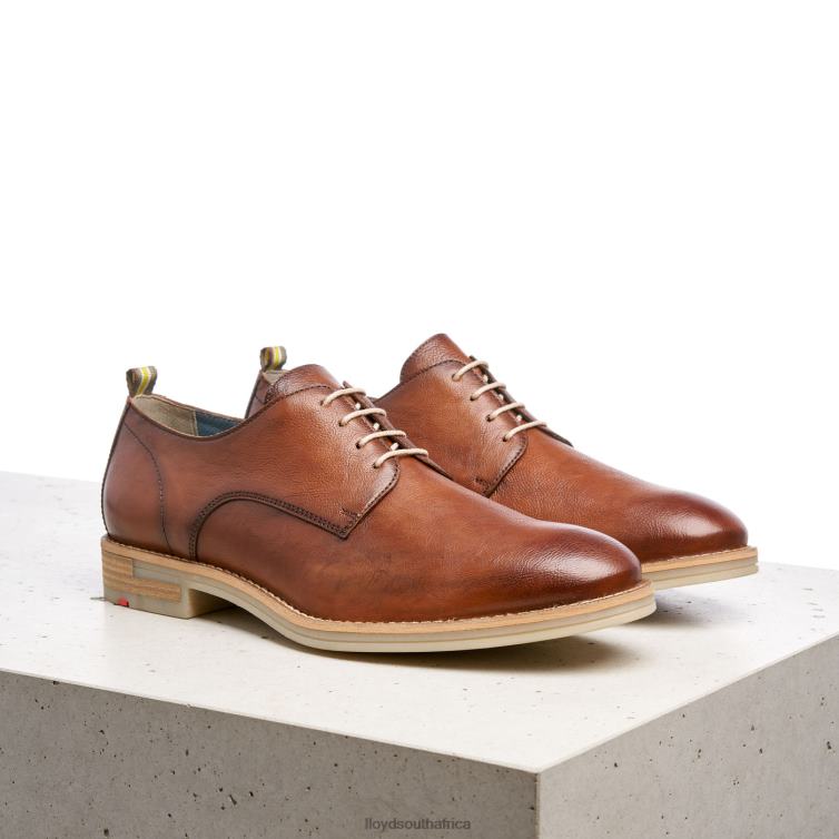 Shoes brown LLOYD DAKOTA Men 86B4D608