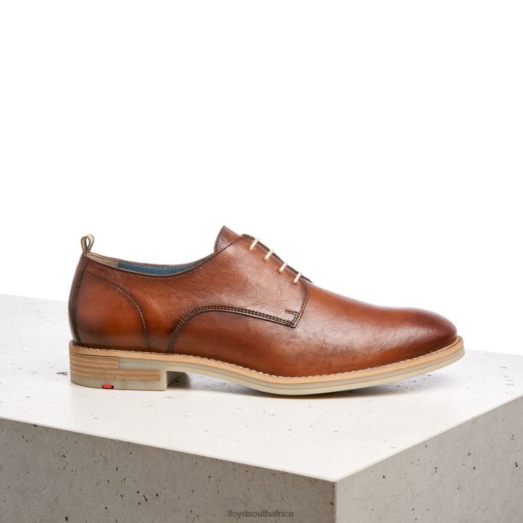 Shoes brown LLOYD DAKOTA Men 86B4D608