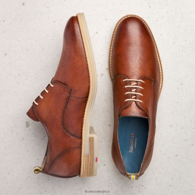 Shoes brown LLOYD DAKOTA Men 86B4D608
