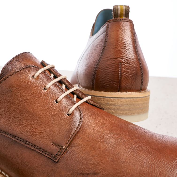 Shoes brown LLOYD DAKOTA Men 86B4D608