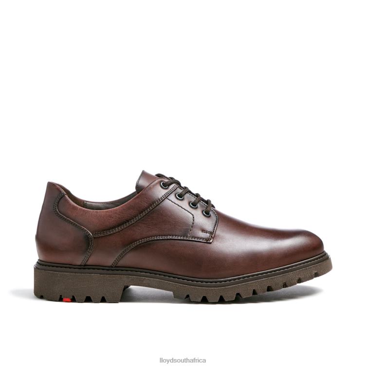 Shoes brown LLOYD DALTON Men 86B4D39