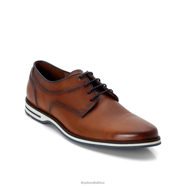 Shoes brown LLOYD DANJAAN Men 86B4D609