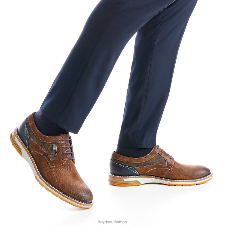 Shoes brown LLOYD DARRIS Men 86B4D588