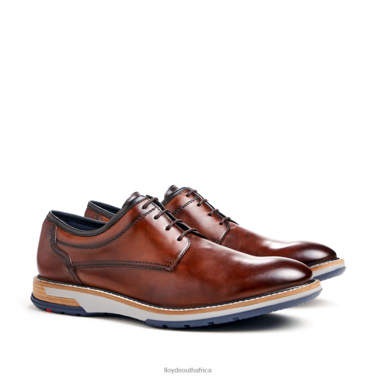 Shoes brown LLOYD DERO Men 86B4D45