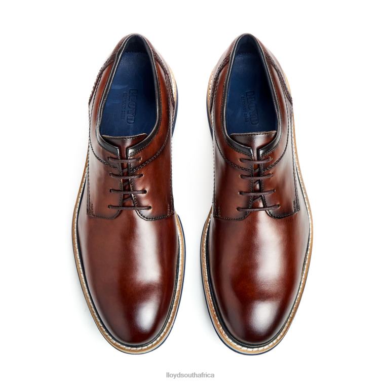 Shoes brown LLOYD DERO Men 86B4D45