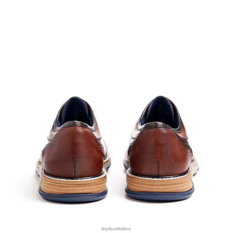 Shoes brown LLOYD DERO Men 86B4D45
