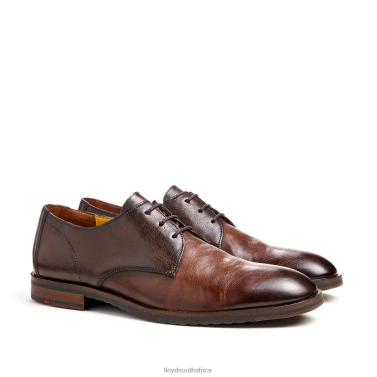 Shoes brown LLOYD DORIAN Men 86B4D37