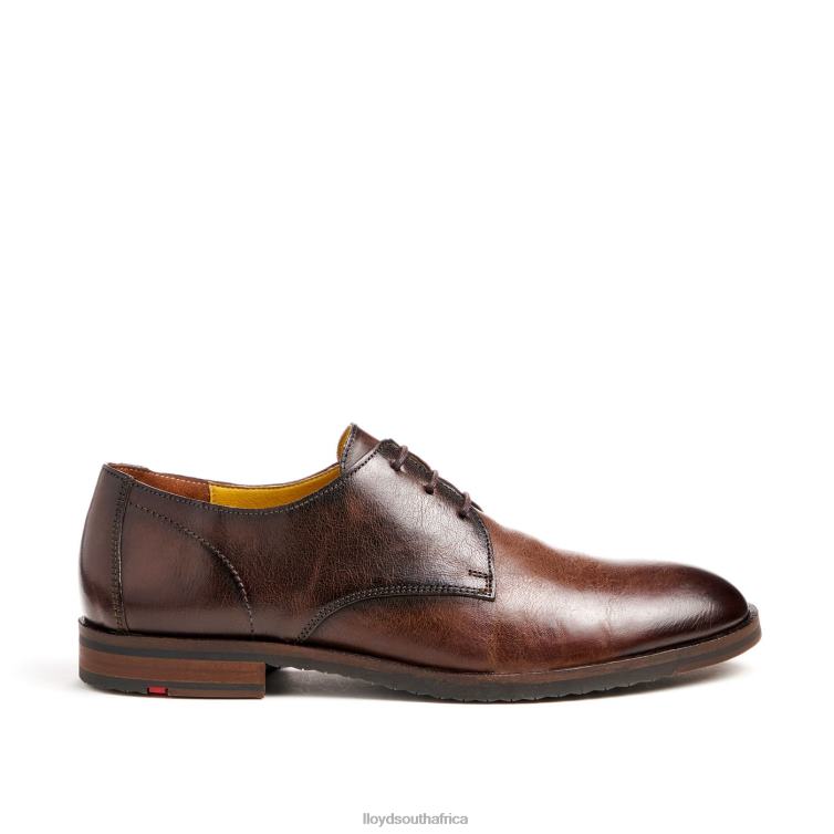 Shoes brown LLOYD DORIAN Men 86B4D37