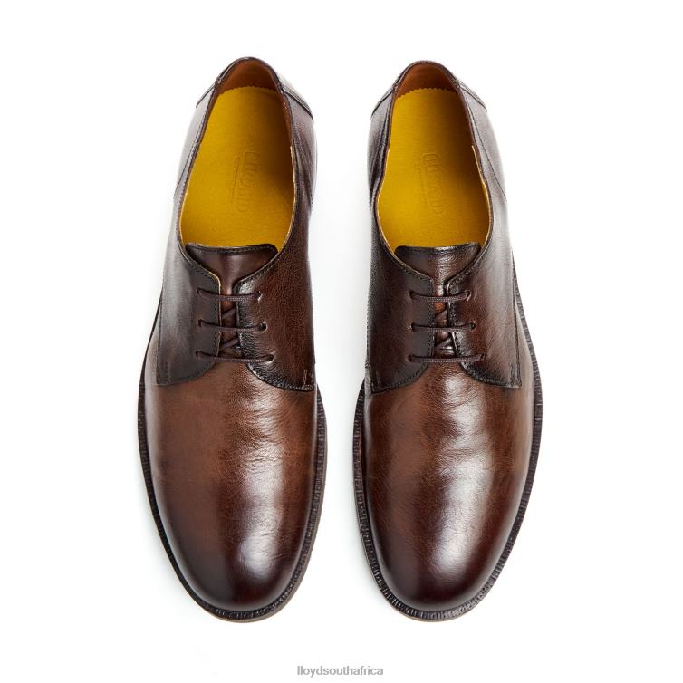 Shoes brown LLOYD DORIAN Men 86B4D37