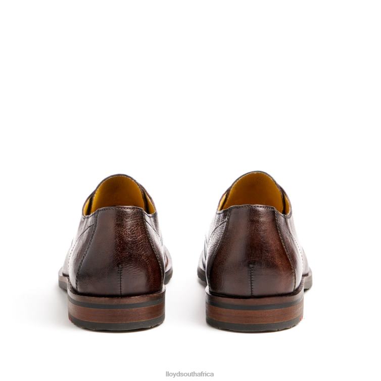 Shoes brown LLOYD DORIAN Men 86B4D37