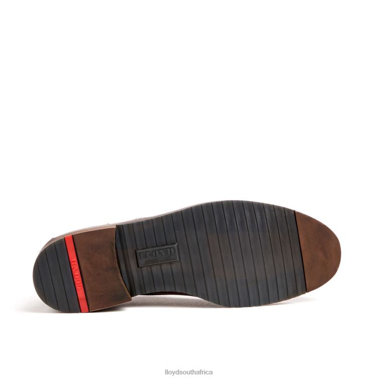 Shoes brown LLOYD DORIAN Men 86B4D37