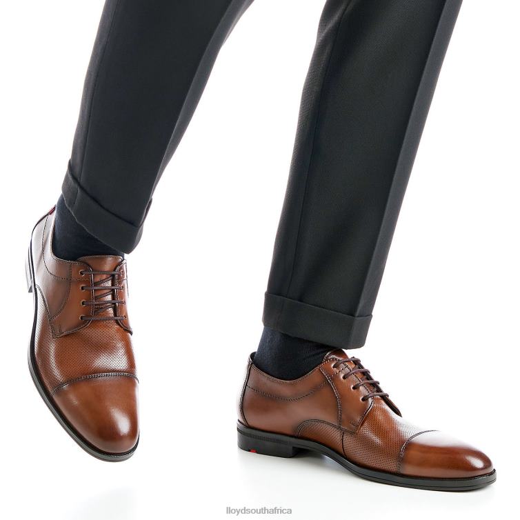 Shoes brown LLOYD FOLCO Men 86B4D15