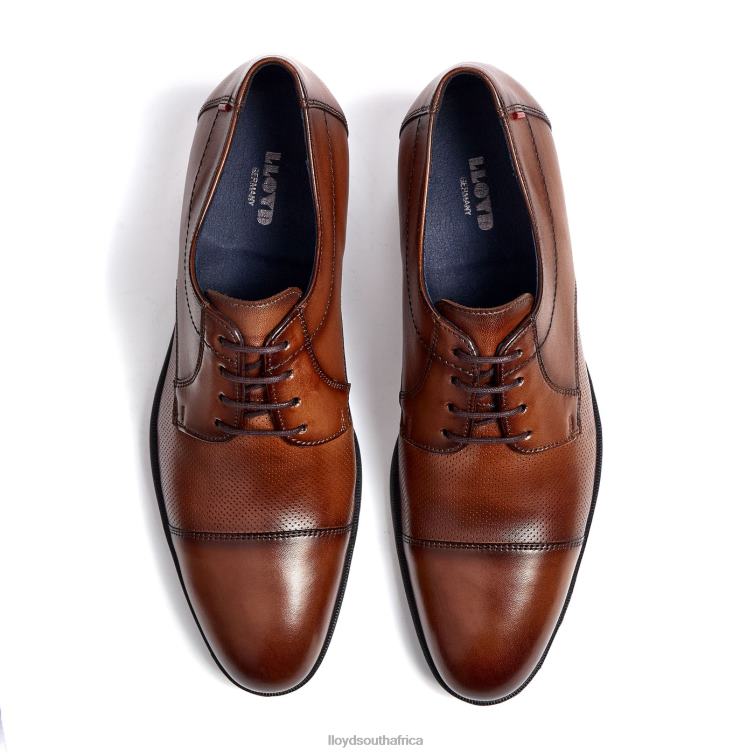 Shoes brown LLOYD FOLCO Men 86B4D15