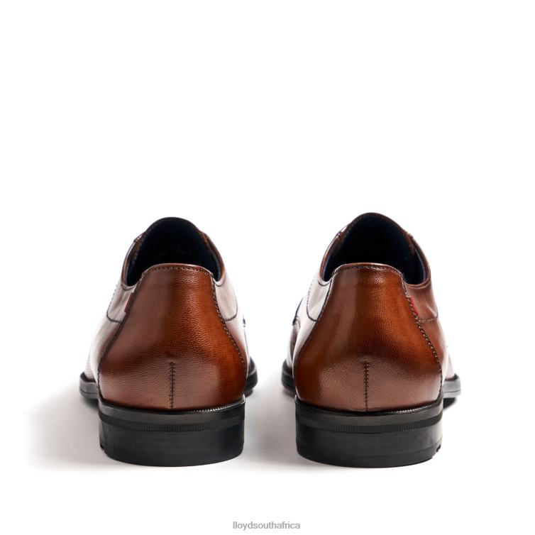 Shoes brown LLOYD FOLCO Men 86B4D15