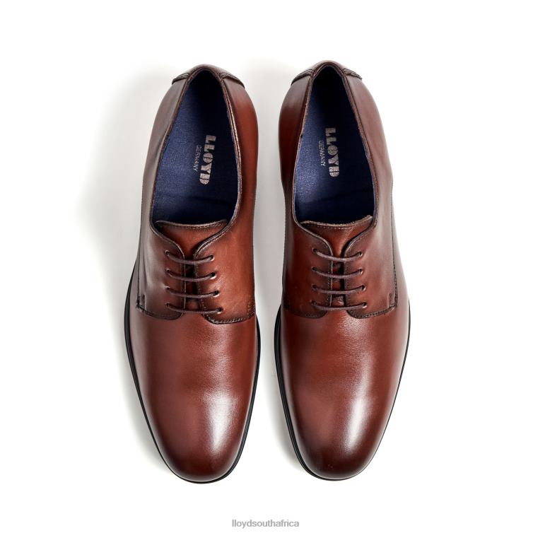 Shoes brown LLOYD FONDA Men 86B4D13