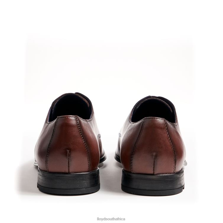 Shoes brown LLOYD FONDA Men 86B4D13