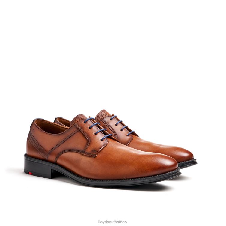 Shoes brown LLOYD GALA Men 86B4D102