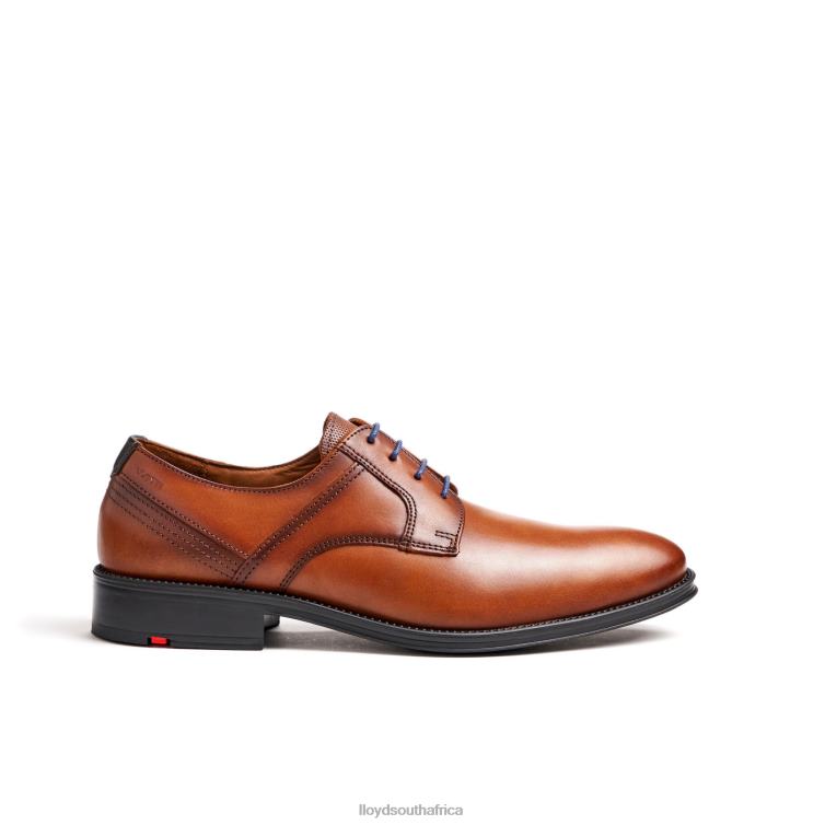 Shoes brown LLOYD GALA Men 86B4D102