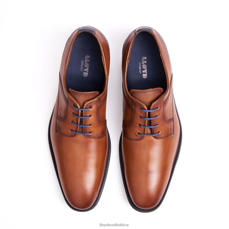 Shoes brown LLOYD GALA Men 86B4D102