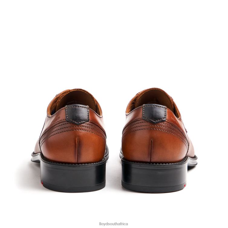 Shoes brown LLOYD GALA Men 86B4D102