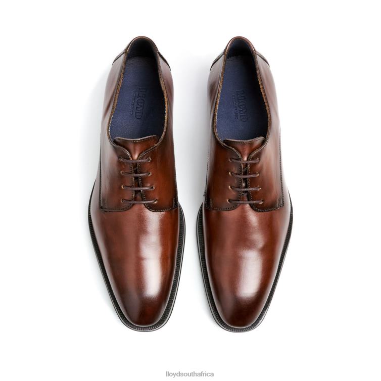 Shoes brown LLOYD GIDEON Men 86B4D3