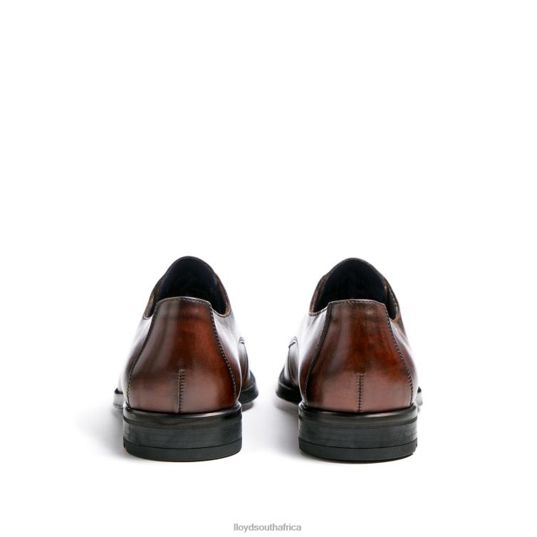 Shoes brown LLOYD GIDEON Men 86B4D3