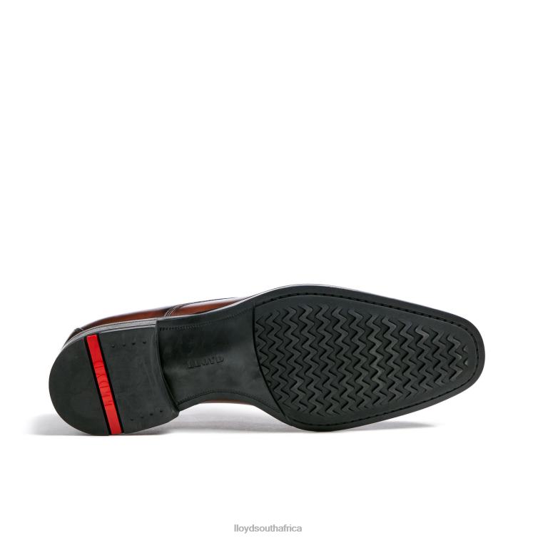 Shoes brown LLOYD GIDEON Men 86B4D3