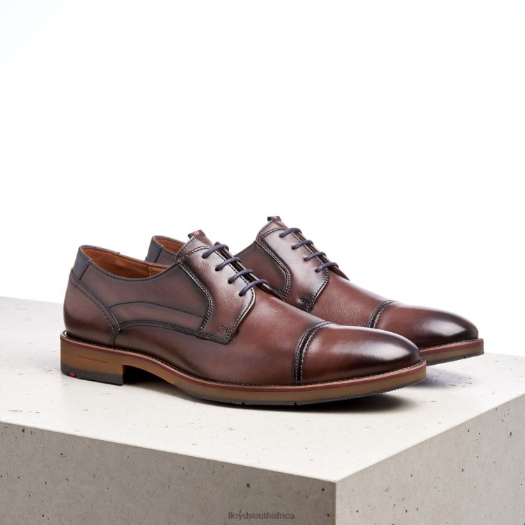 Shoes brown LLOYD HARPER Men 86B4D176