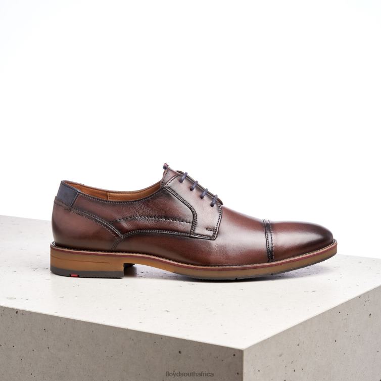 Shoes brown LLOYD HARPER Men 86B4D176