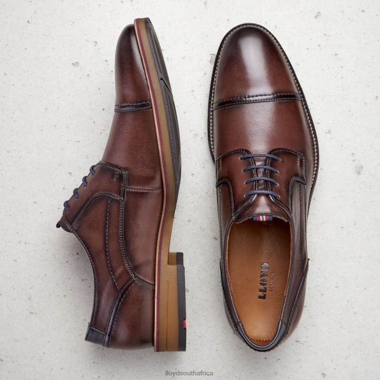 Shoes brown LLOYD HARPER Men 86B4D176