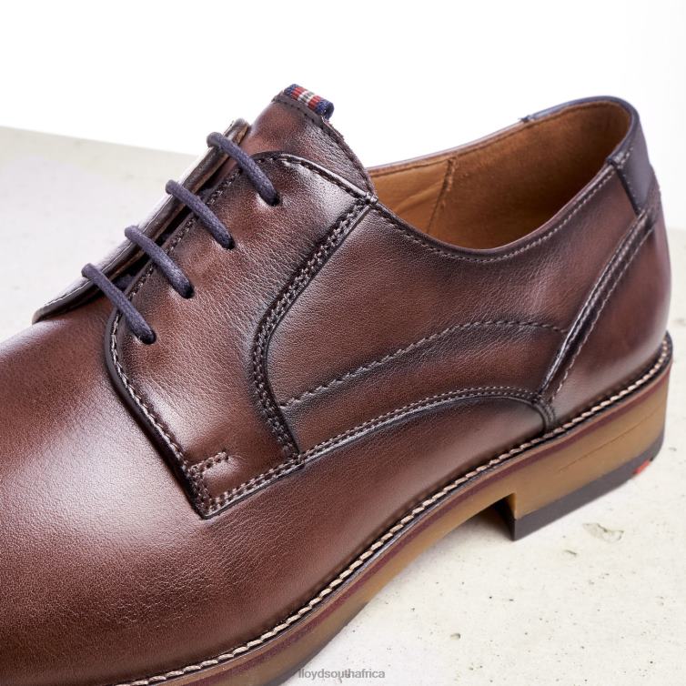 Shoes brown LLOYD HARPER Men 86B4D176
