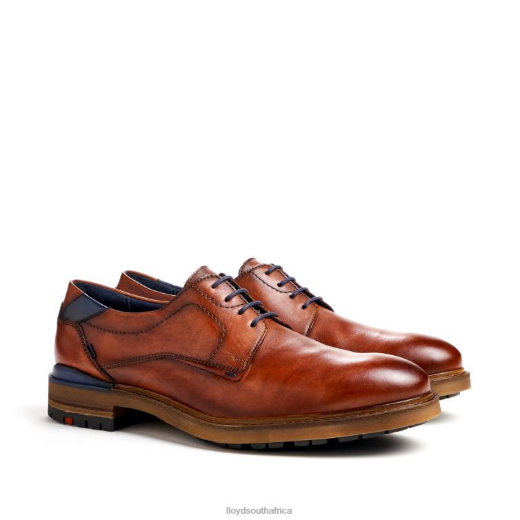 Shoes brown LLOYD HELSINKI Men 86B4D586