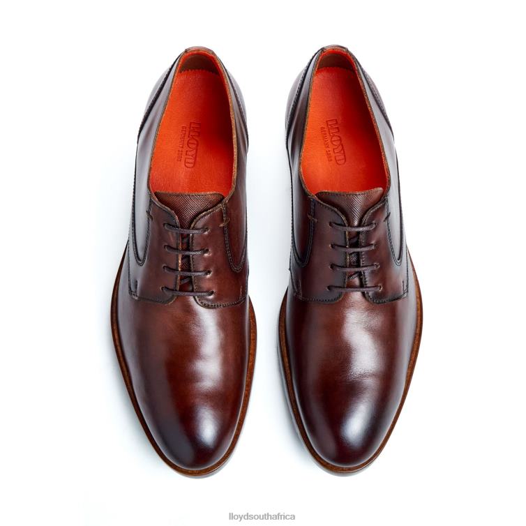 Shoes brown LLOYD JACKSON Men 86B4D46