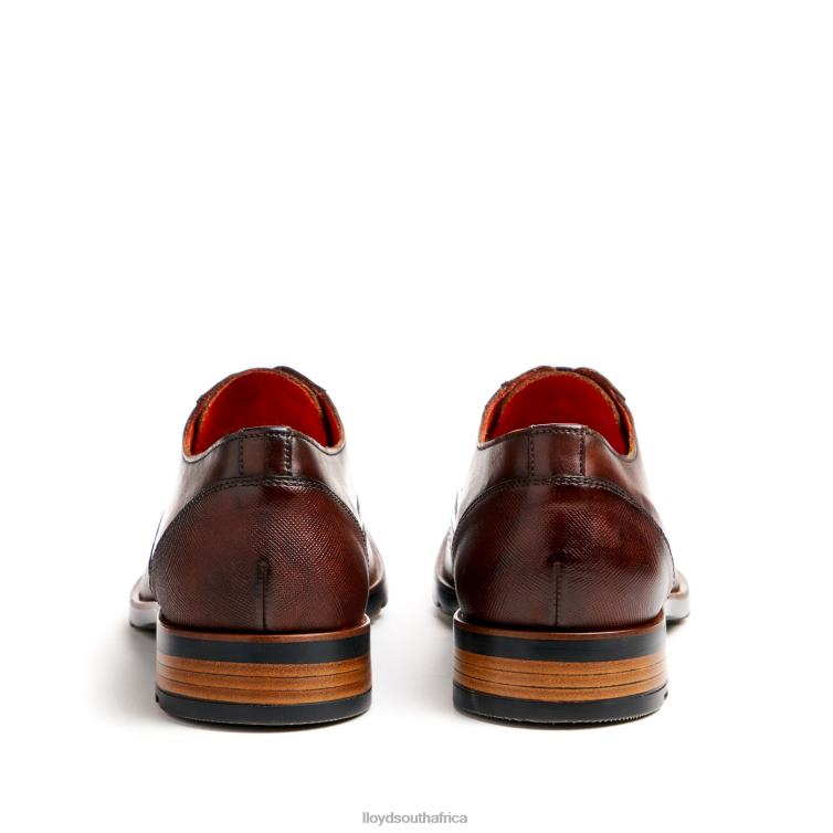 Shoes brown LLOYD JACKSON Men 86B4D46