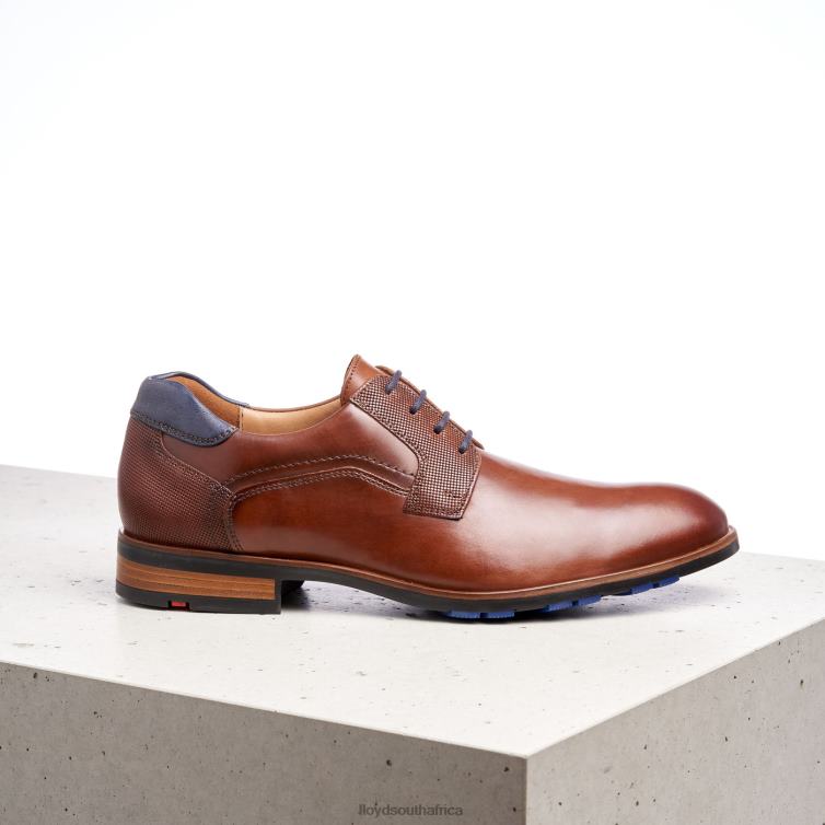 Shoes brown LLOYD JAKE Men 86B4D199