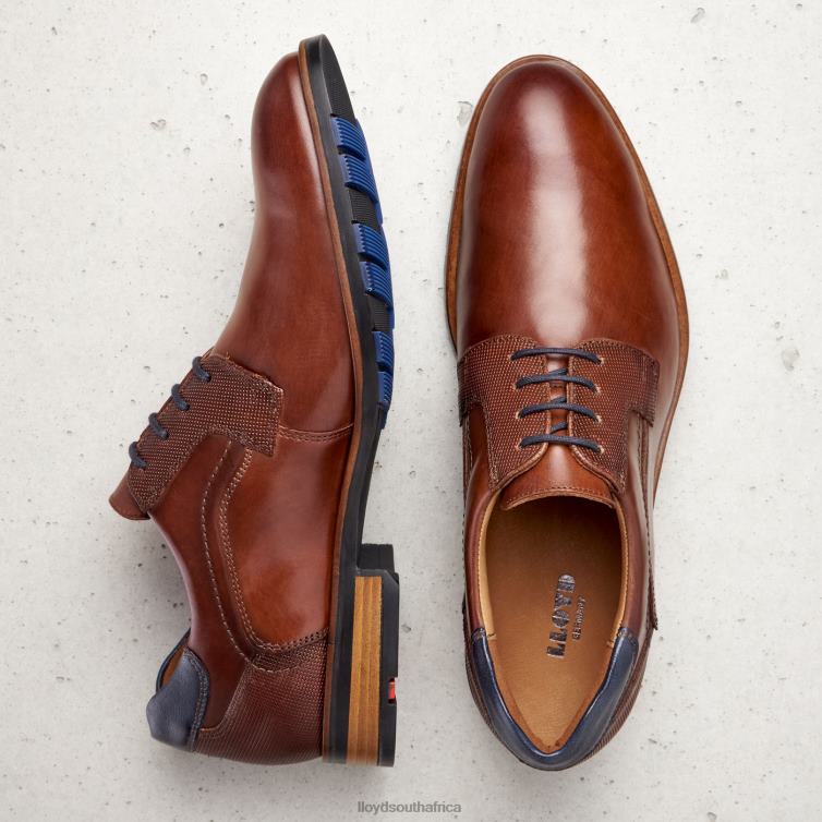 Shoes brown LLOYD JAKE Men 86B4D199