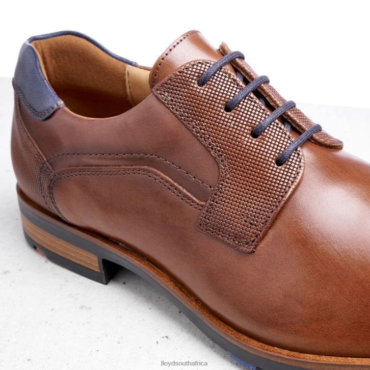 Shoes brown LLOYD JAKE Men 86B4D199