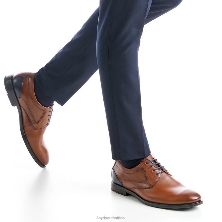 Shoes brown LLOYD KALMAR (XTRAWIDE) Men 86B4D94