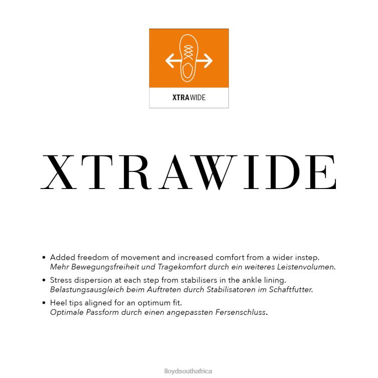 Shoes brown LLOYD KALMAR (XTRAWIDE) Men 86B4D99