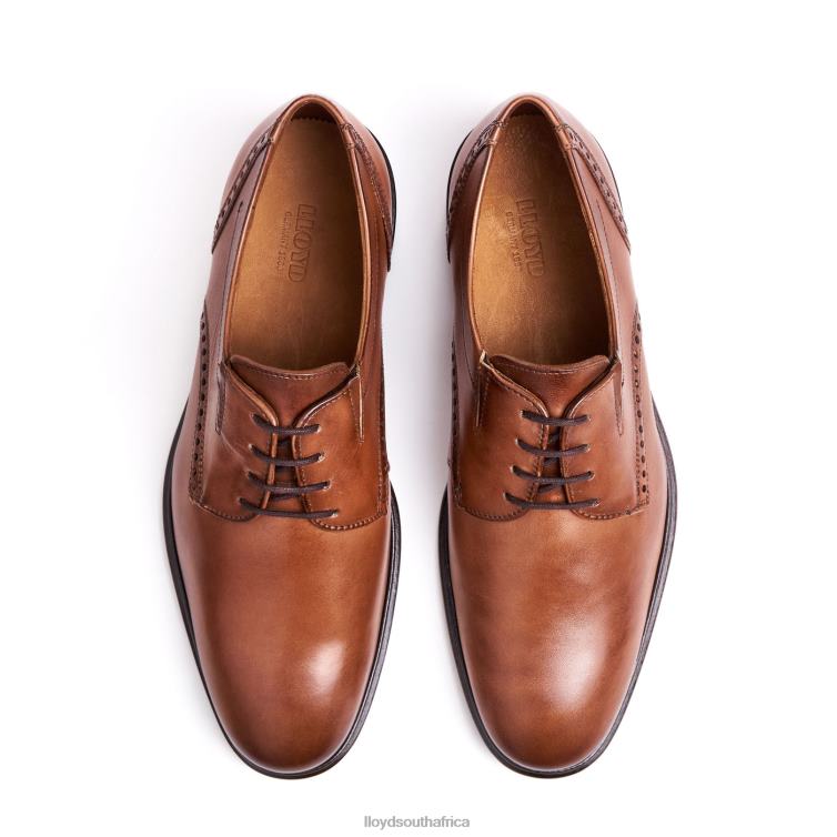 Shoes brown LLOYD KOOG (XTRAWIDE) Men 86B4D75