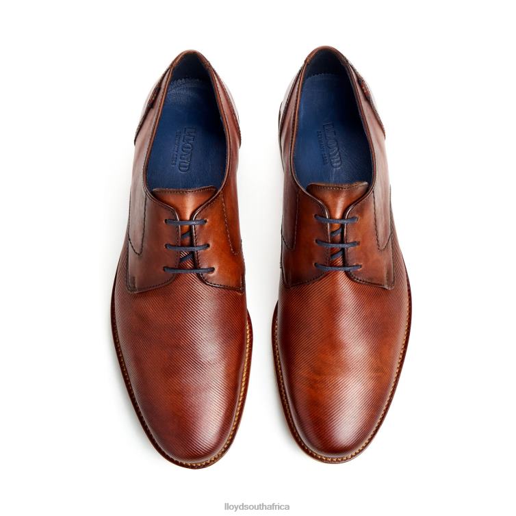 Shoes brown LLOYD LAVAL Men 86B4D41