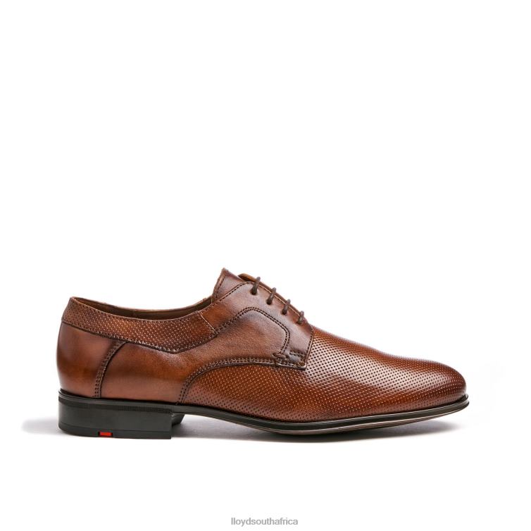 Shoes brown LLOYD LEVIN Men 86B4D87