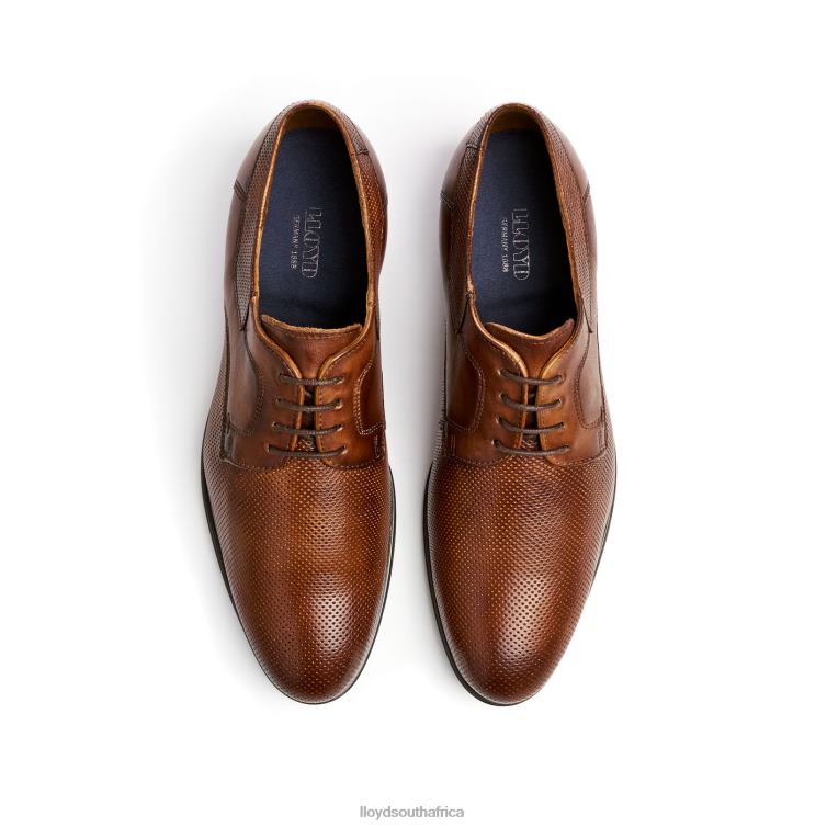 Shoes brown LLOYD LEVIN Men 86B4D87