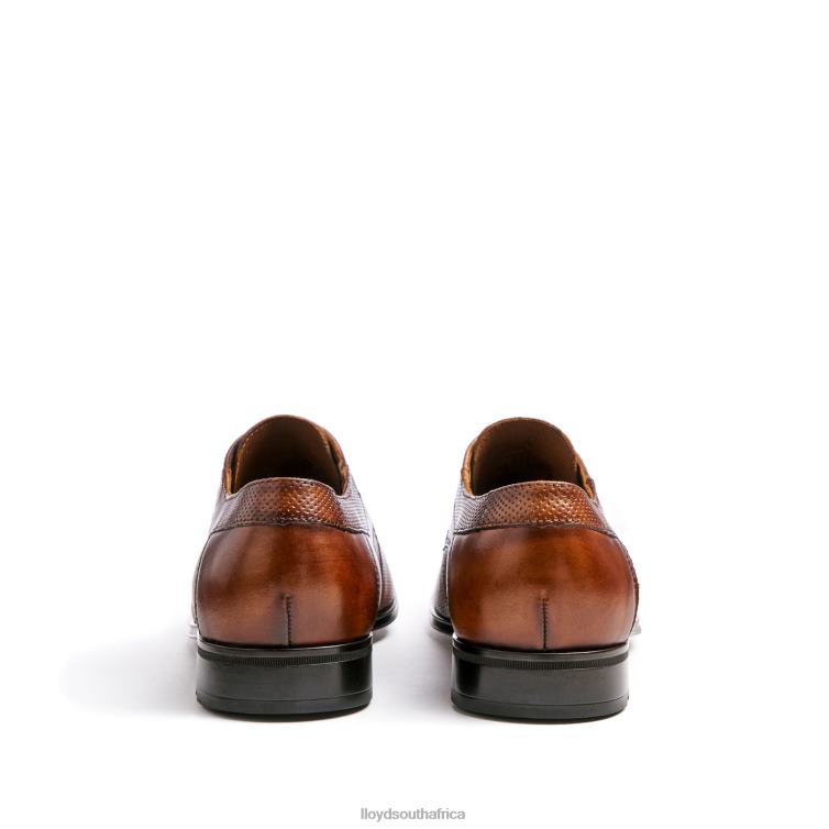 Shoes brown LLOYD LEVIN Men 86B4D87