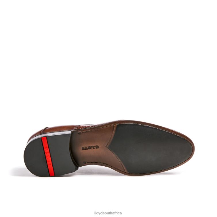 Shoes brown LLOYD LEVIN Men 86B4D87