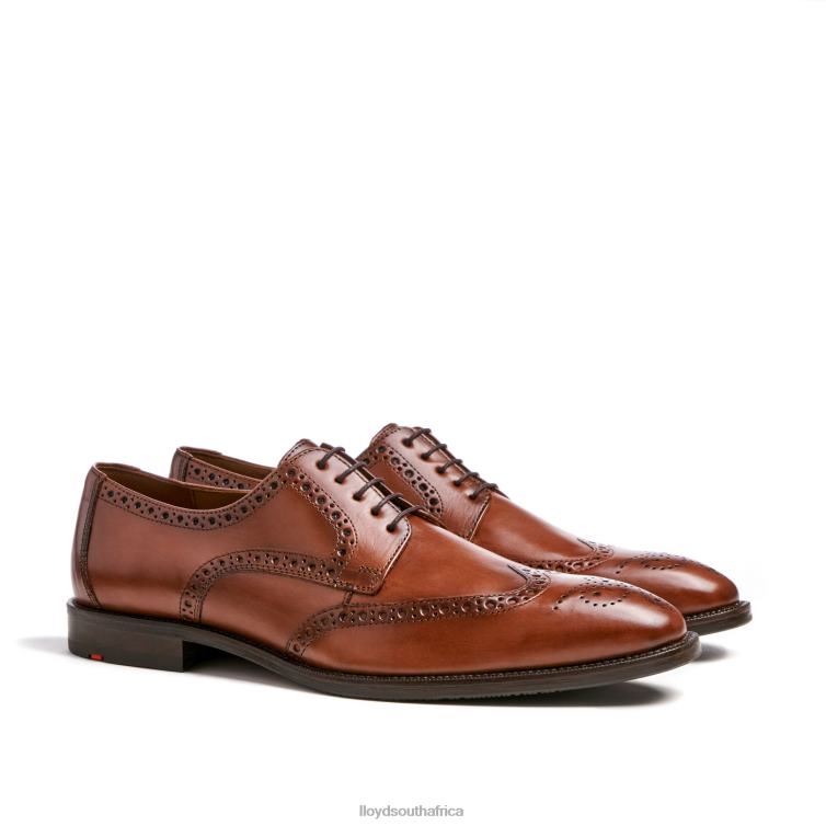 Shoes brown LLOYD LUCIEN Men 86B4D574